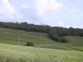 components/com_mambospgm/spgm/gal/1.Laeufe/Biel-Landschaft/_thb_Pict0003.JPG