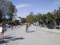 components/com_mambospgm/spgm/gal/1.Laeufe/Chiemsee/_thb_Pict0009.JPG
