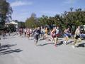 components/com_mambospgm/spgm/gal/1.Laeufe/Chiemsee/_thb_Pict0010.JPG